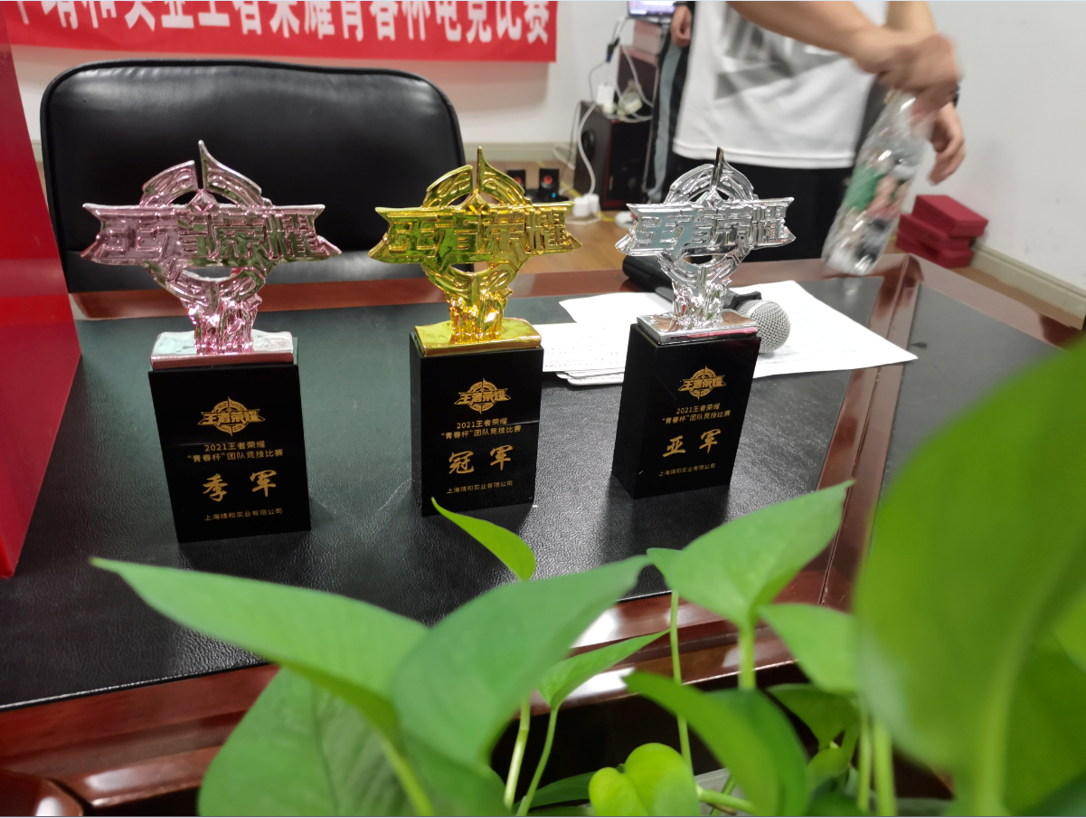 Jinghe s Honor of Kings e-sports competition(pic6)