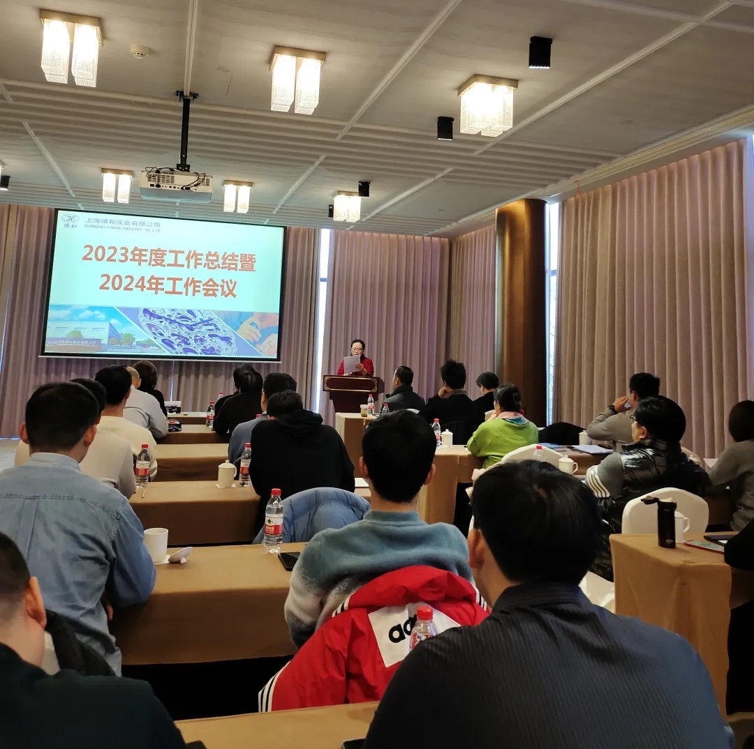 Jinghe Dynamics | Forge Ahead with determination for Development, Unite our efforts to Write a New Chapter in the "Core" field(pic3)