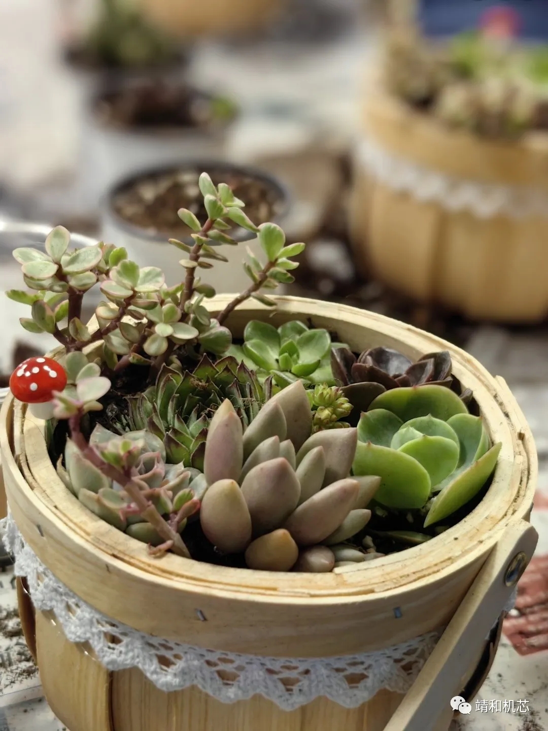 【 Employee Activity 】 Enjoy the Time, DIY Succulent Mothers Day event(pic7)