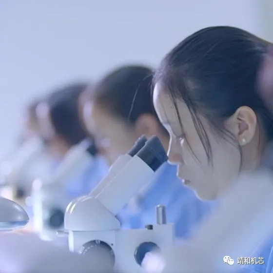 Jinghe Movement | This watch movement is crafted by people from Jinghe(pic6)